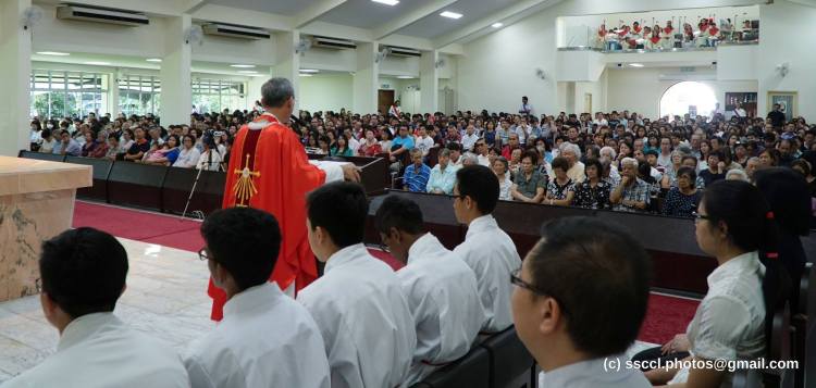 17814216_1414082348650852_870830140617858130_o