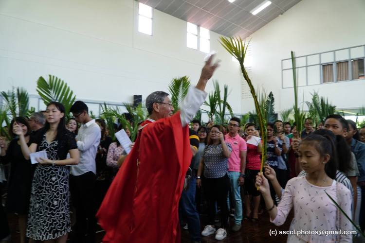 17835031_1408085562583864_1496877515074541148_o